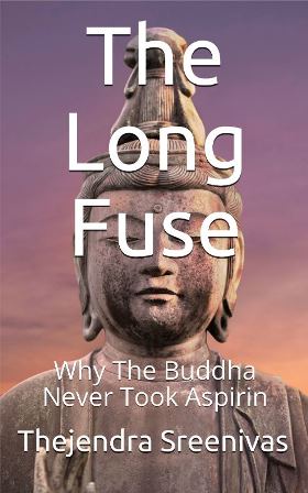 The Long Fuse by Thejendra Sreenivas